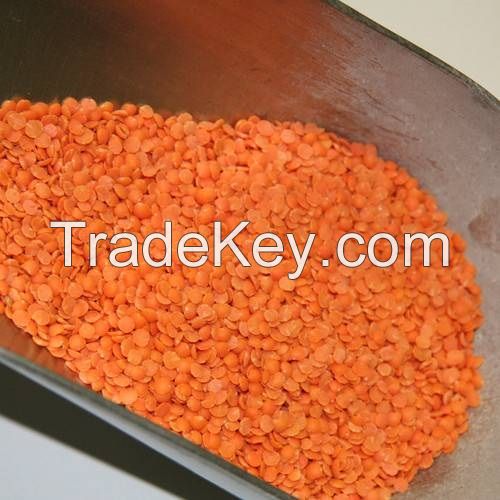 Quality Red lentils , mung beans, chick peas , sugar beans, rice