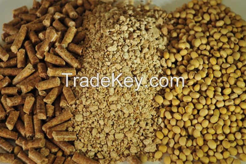 Premium Grade Soybean Meal 65% Protein For Animal Feed / Organic Soybean Meal