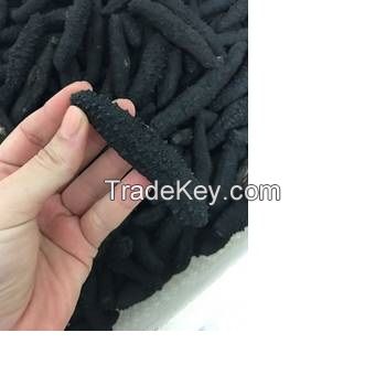 Top Quality Frozen and Dried Sea Cucumber for sale