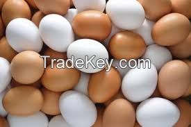 Fresh White and brown Eggs