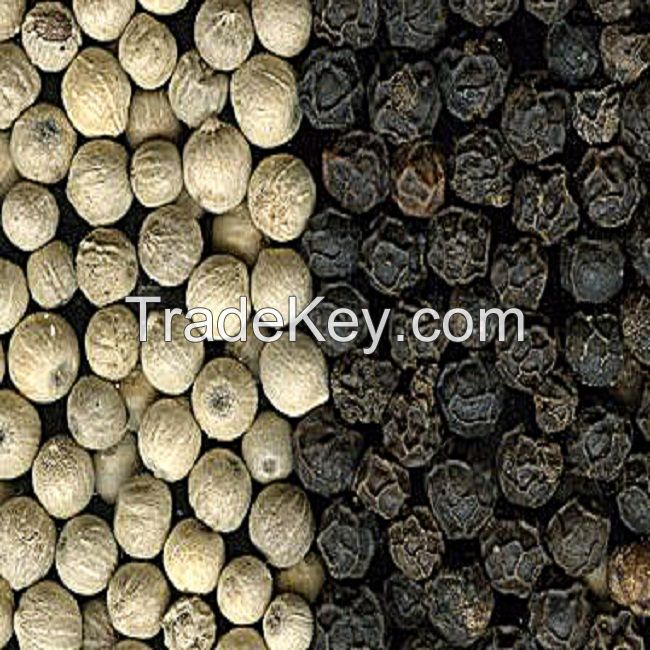 Top Quality White and Black Pepper for Export