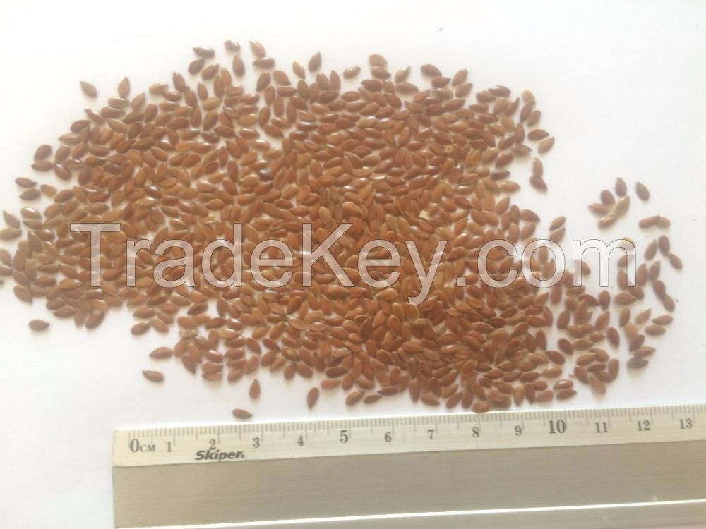 Wholesale Organic Golden Bulk Grade A Brown Flax Seeds