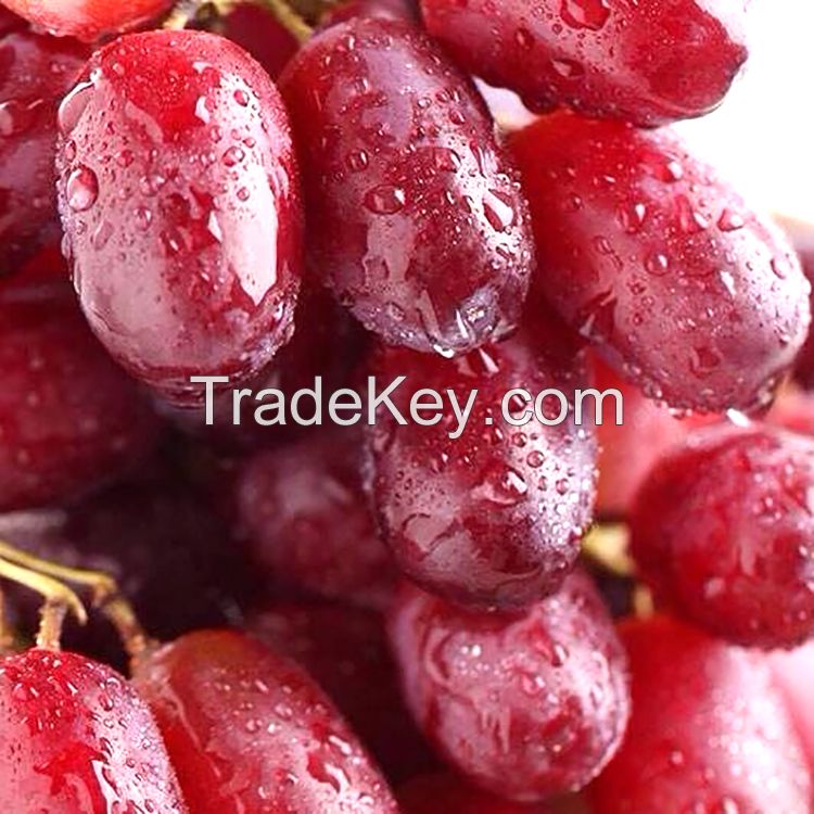 Best Sell Fresh Sweet Honey Red Grape