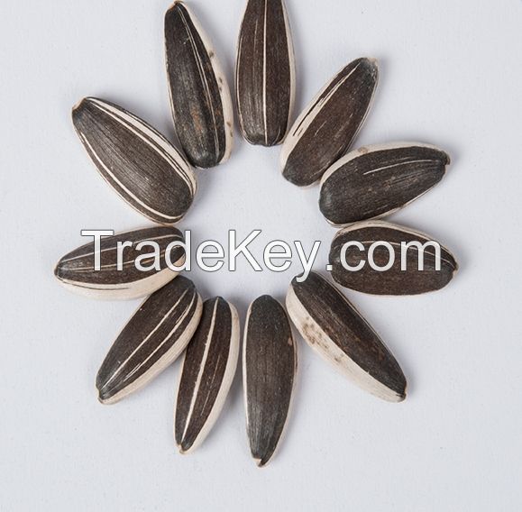 sunflower seeds polly seeds sunflower kernels for export