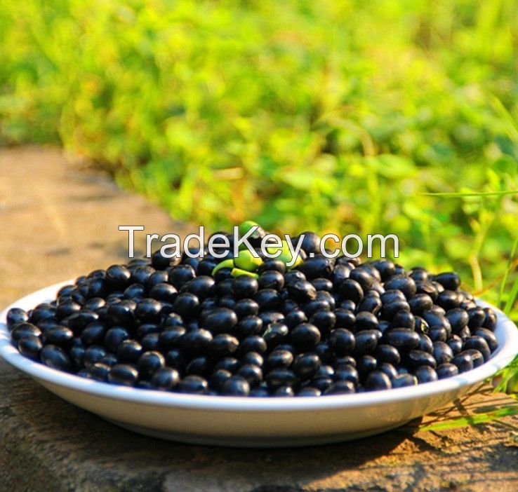 Price of black kidney bean, black bean with best quality