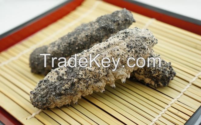 DRIED SEA CUCUMBER