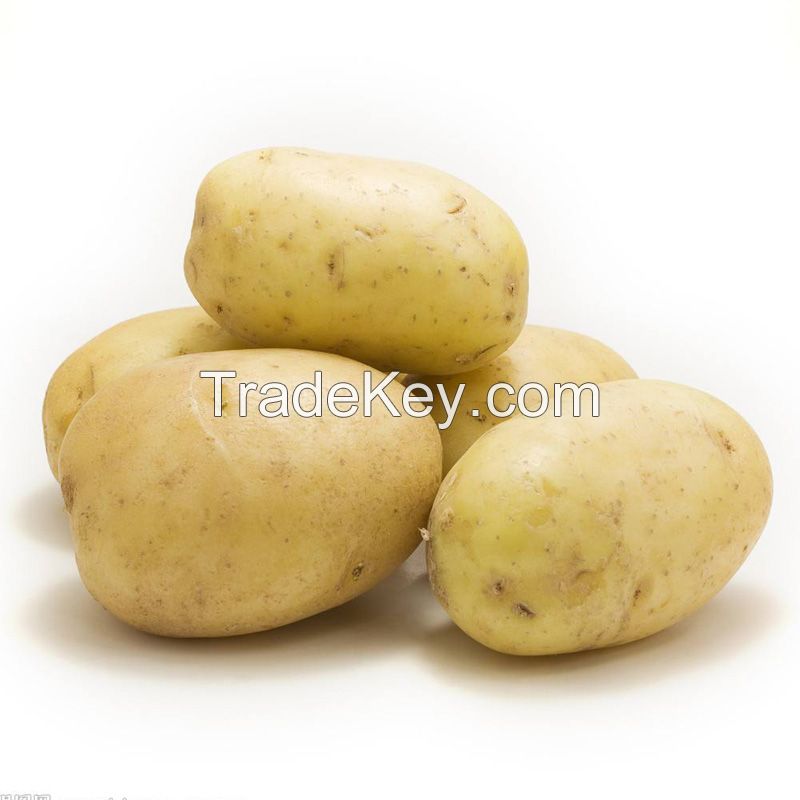 2017 new crop fresh potato
