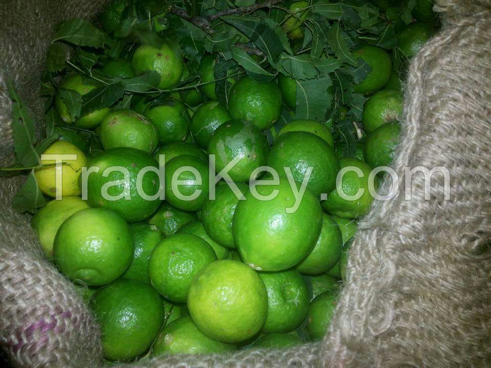 fresh lime and lemons