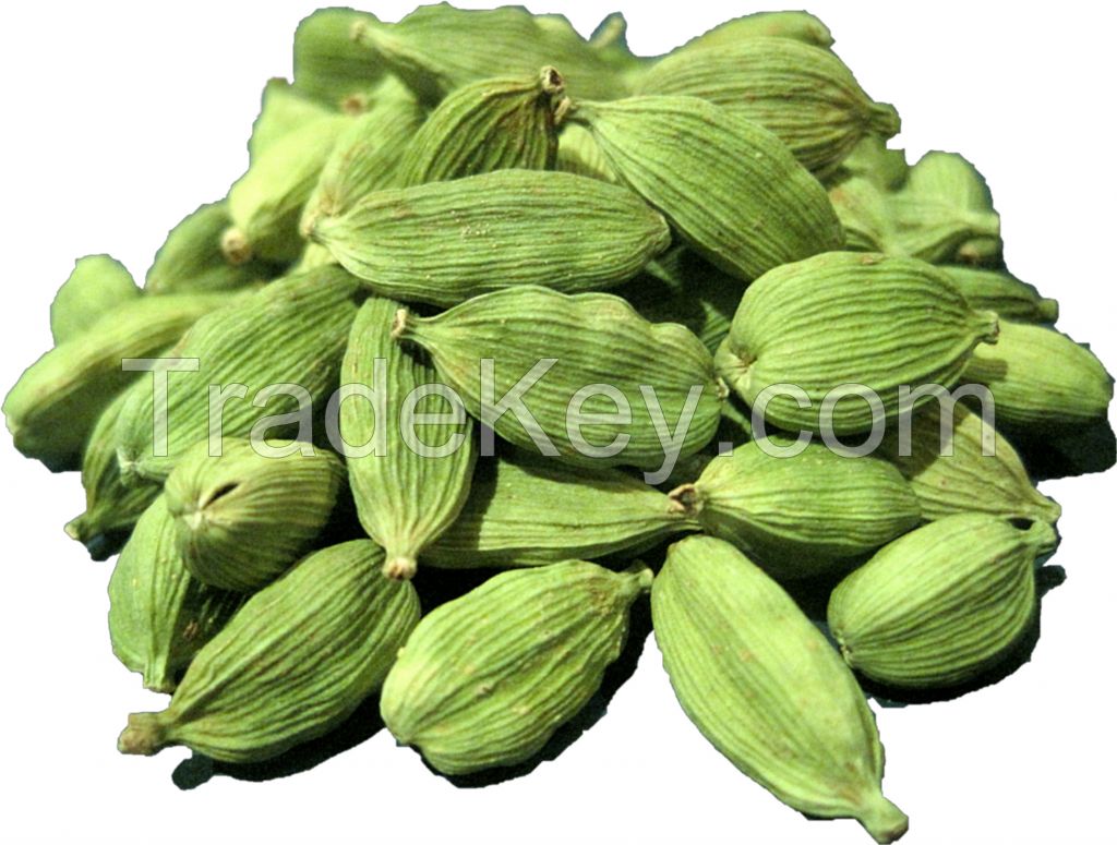 Good Quality Green Cardamom