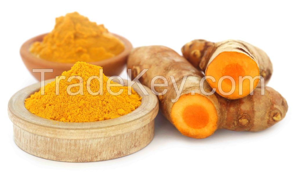 HIGH QUALITY VIETNAMESE ORGANIC FRESH RED TURMERIC