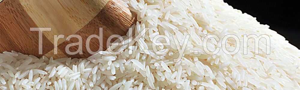 High Quality Long-Grain White Rice for Sale
