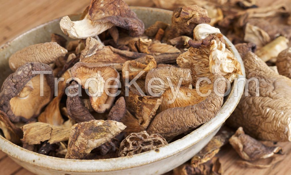 healthy and organic dried mushroom