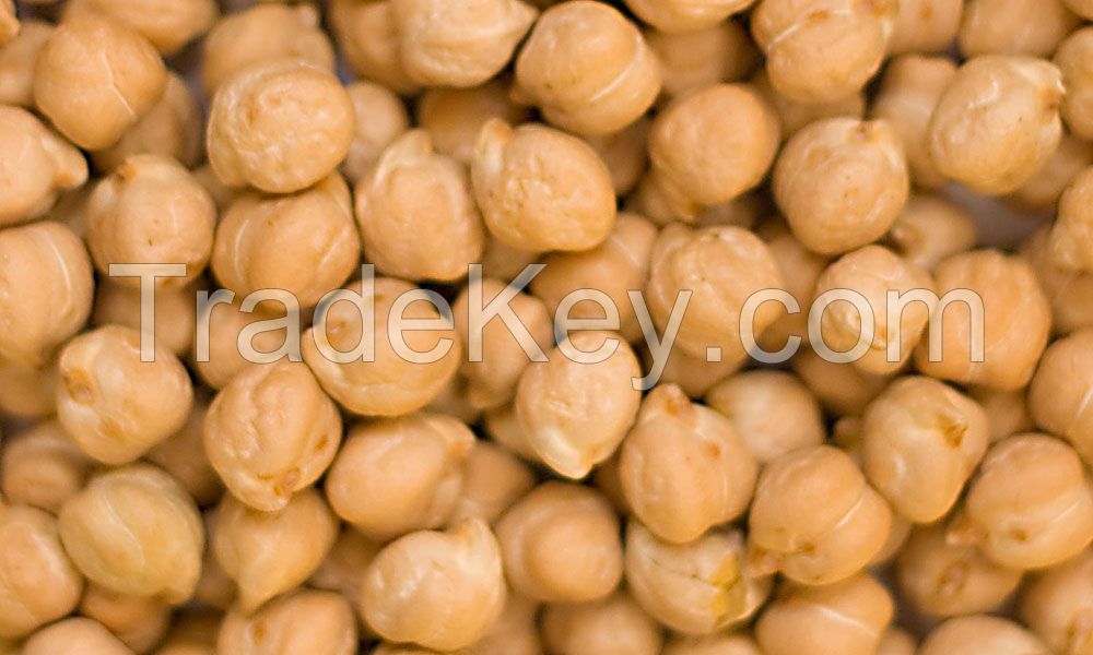 CHICKPEAS