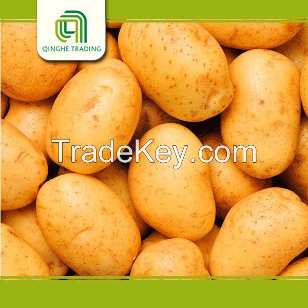 fresh market price potato