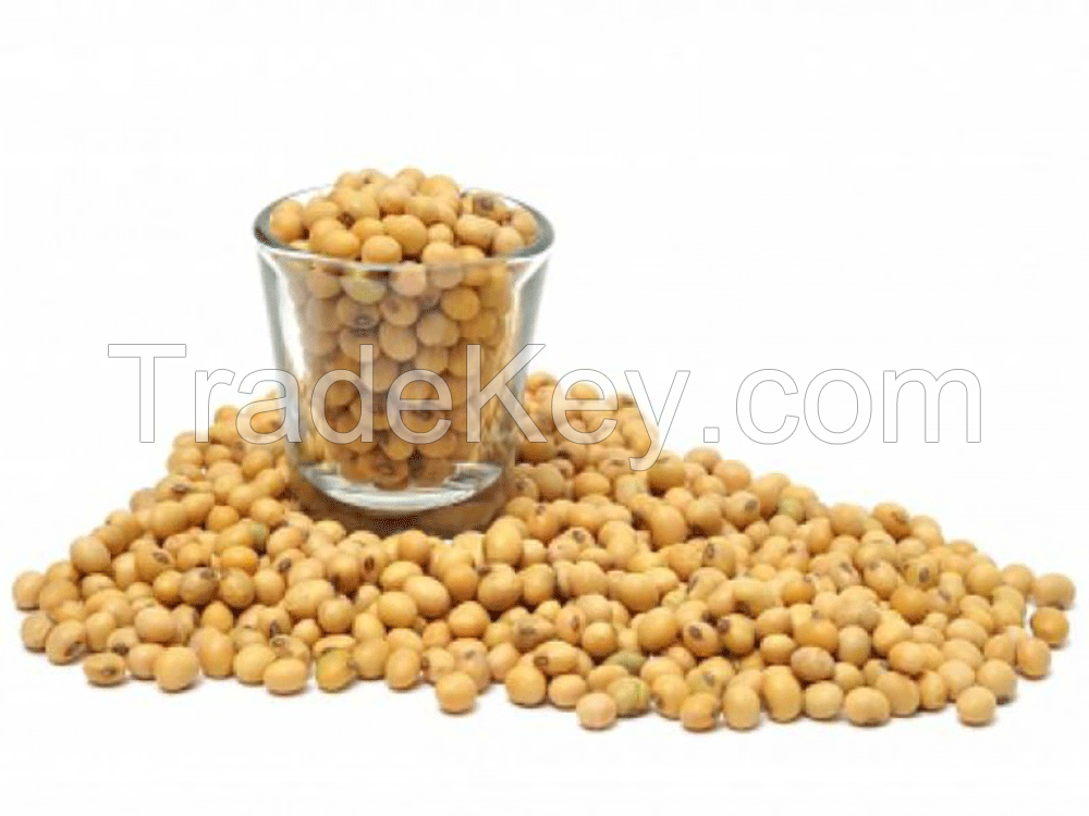 High Grade Soya beans