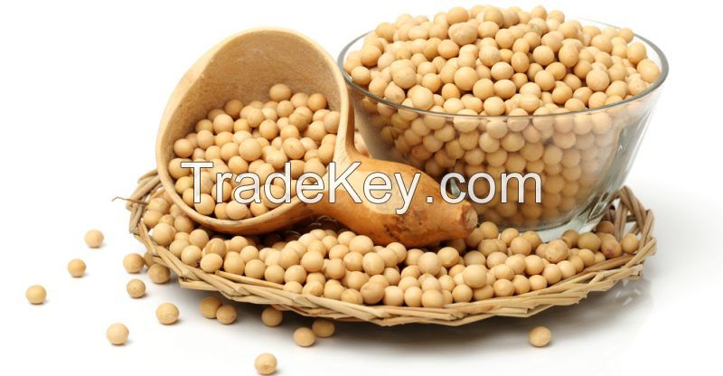 Soybeans High Quality