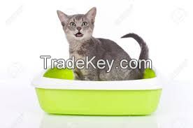 bentonite cat litter