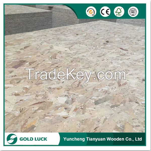1220X2440mm Stering Oriented Strand Board for Construction