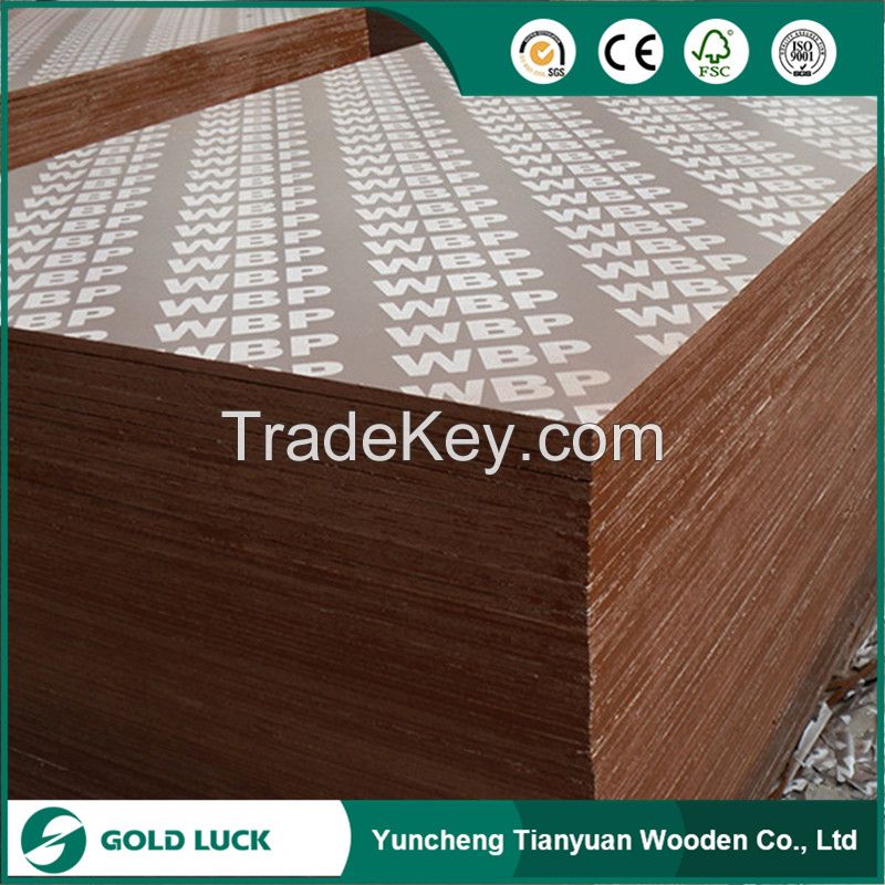 Buidling Materials Construction Shuttering Plywood 12mm