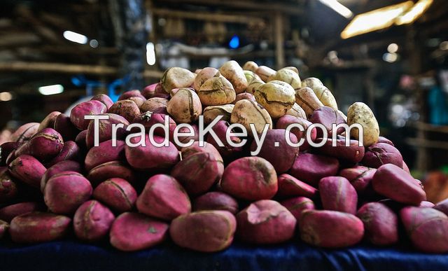 Kola Nuts