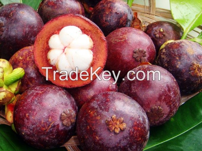 Fresh Mangosteen