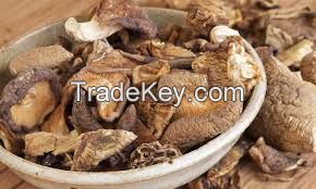 Dried Mushrooms