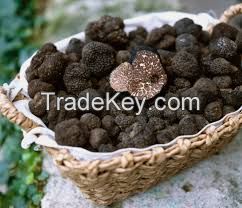 Truffles