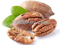 Pecan Nuts