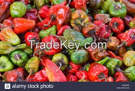 Dried Capsicum