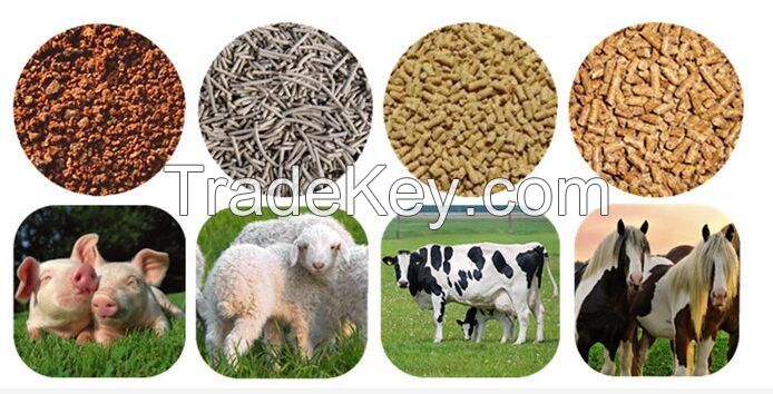 Cattle Feed