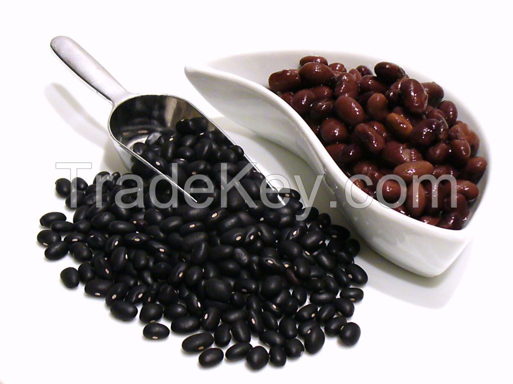 Black Beans