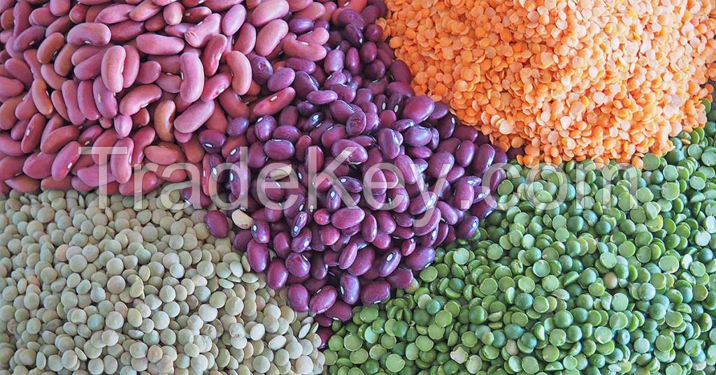 Pulses