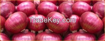 Fresh red and white onion - US$ 0.7/kg
