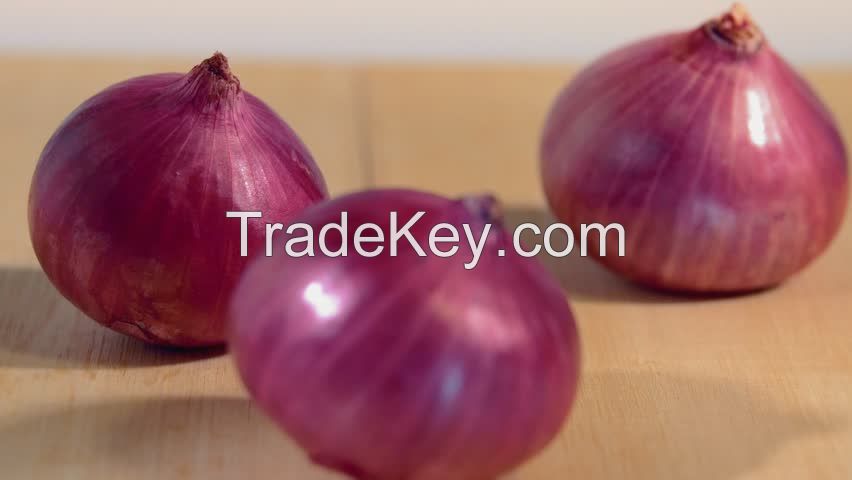 Fresh Yellow And Red Onion