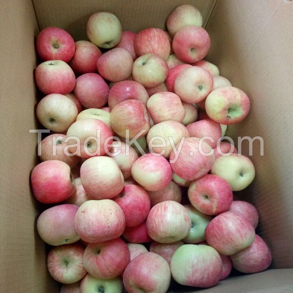 new fresh fruits red Fuji apples