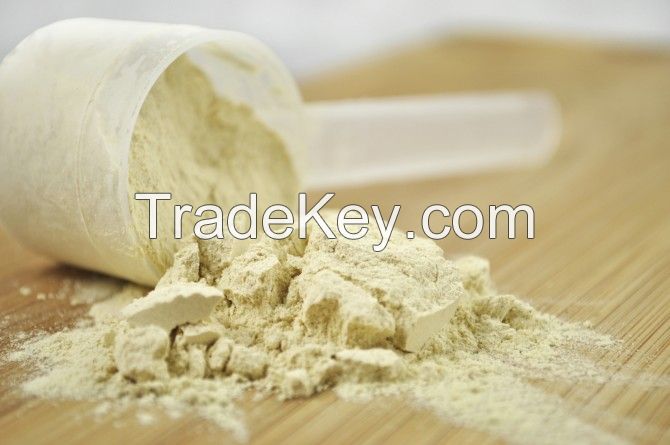 Whey Protein Powder