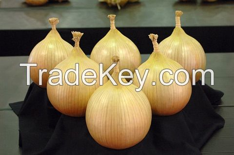 Yellow Onion Seeds