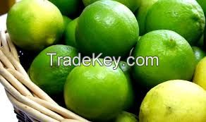 green seedless lime