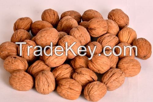 walnuts whole with shell