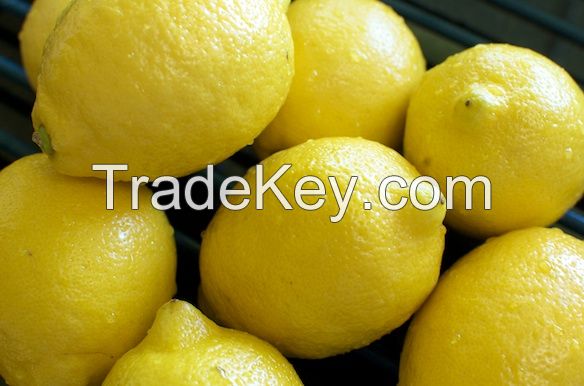 Fresh Yellow Lemon