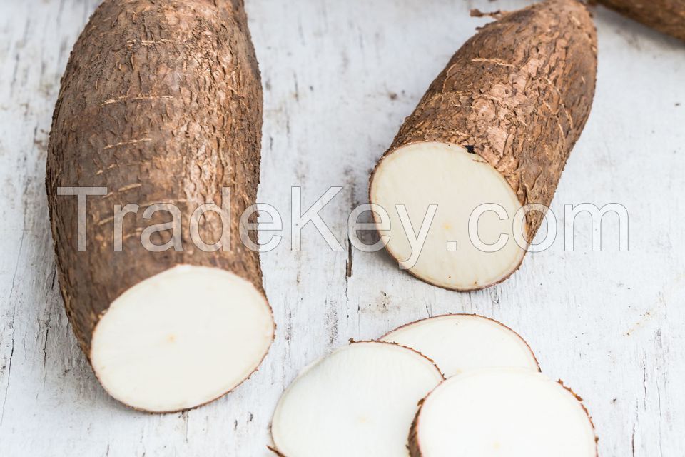 Fresh Cassava / Tapioca / Manioc / Yucca Roots / Casabe