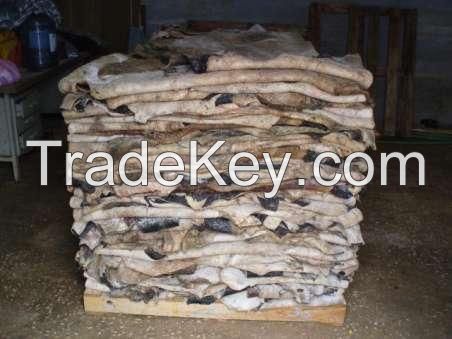 Wet and Dry Salted Cow and Donkey Hides