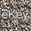 Palm Kernel Nuts