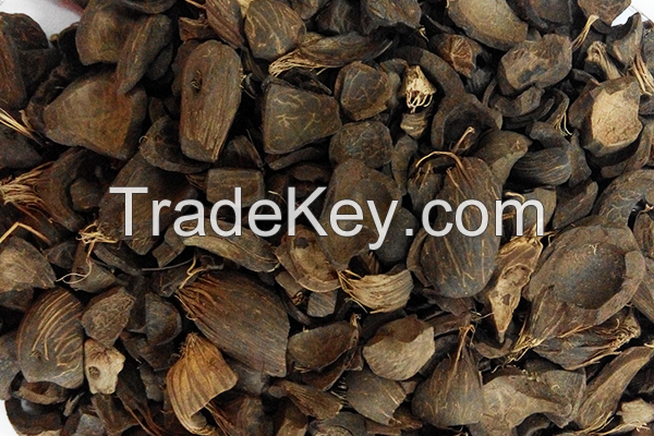 PALM KERNEL SHELL