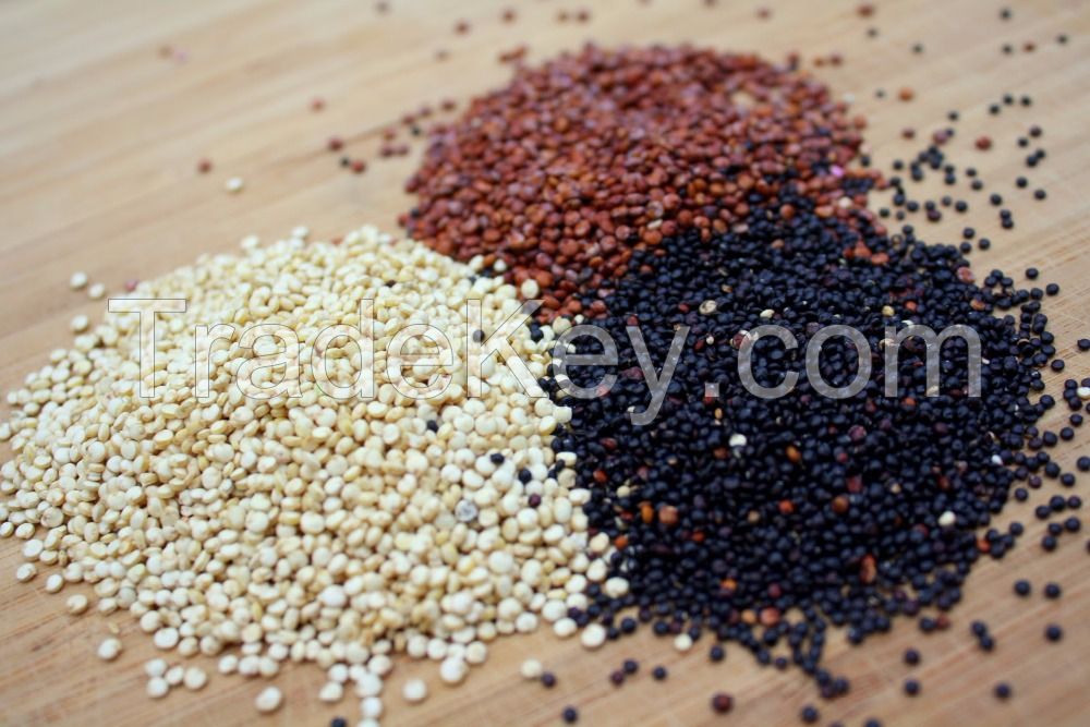 HIGHEST QUALITY QUINOA GRAIN/MOST COMPETITIVE PRICE