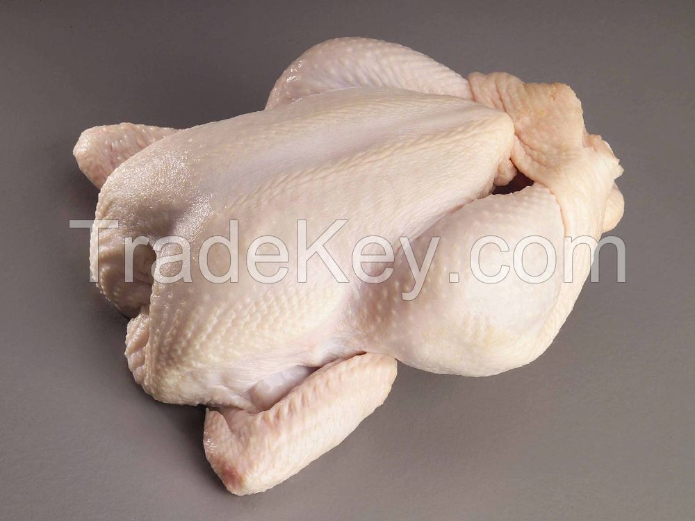 Frozen Whole Chicken and Parts !! Top Supplier !!!