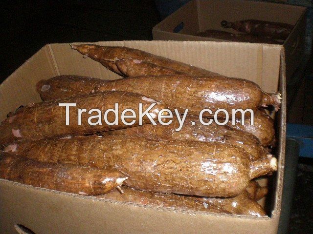 Fresh Cassava/FRESH CASSAVA TUBERS/SWEET TAPIOCA FRESH CASSAVA