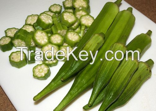 HIGH QUALITY - FRESH OKRA  - COMPETITIVE PRICE