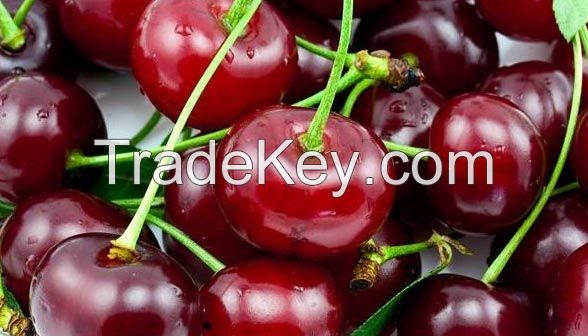 Bagged Fresh Cherries / Frozen Cherries Price Lower and High Quality