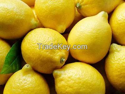 Fresh Lemon With Best Price And Best Quality All Size And 8-15 kg carton